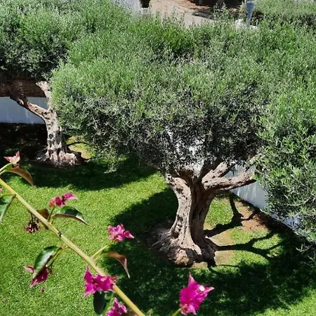 Prázdninový dům Chalet Individual Con Jardin En Puerto Rey, Vera Los Amarguillos